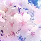 ユーザー画像