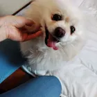 ユーザー画像