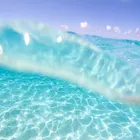 ユーザー画像