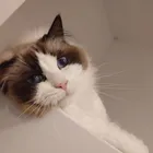 ユーザー画像