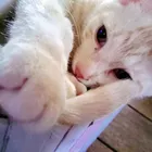 ユーザー画像