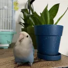 ユーザー画像