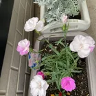 ユーザー画像
