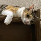 ユーザー画像