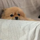 ユーザー画像