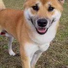 ユーザー画像
