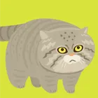 ユーザー画像