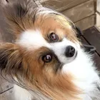 ユーザー画像