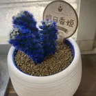 ユーザー画像