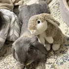 ユーザー画像