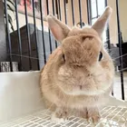ユーザー画像