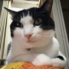 ユーザー画像
