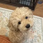 ユーザー画像