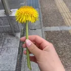 ユーザー画像