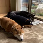 ユーザー画像