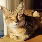 ユーザー画像