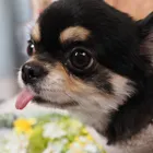 ユーザー画像