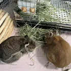 ユーザー画像