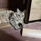 ユーザー画像