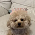 ユーザー画像