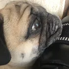 ユーザー画像
