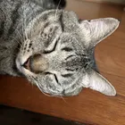 ユーザー画像