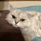 ユーザー画像