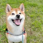 ユーザー画像