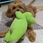 ユーザー画像