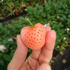 ユーザー画像