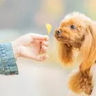 ユーザー画像