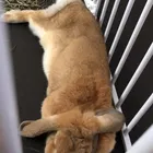 ユーザー画像