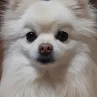 ユーザー画像