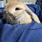 ユーザー画像