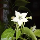 ユーザー画像