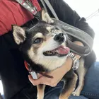 ユーザー画像