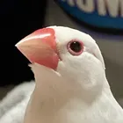 ユーザー画像