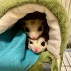 ユーザー画像