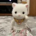 ユーザー画像