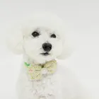 ユーザー画像