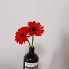 ユーザー画像