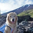 ユーザー画像