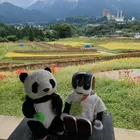ユーザー画像