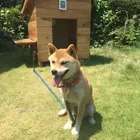 ユーザー画像