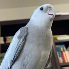 ユーザー画像