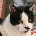 ユーザー画像