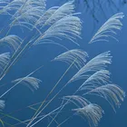 ユーザー画像