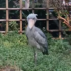 ユーザー画像