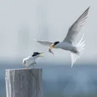ユーザー画像