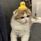 ユーザー画像